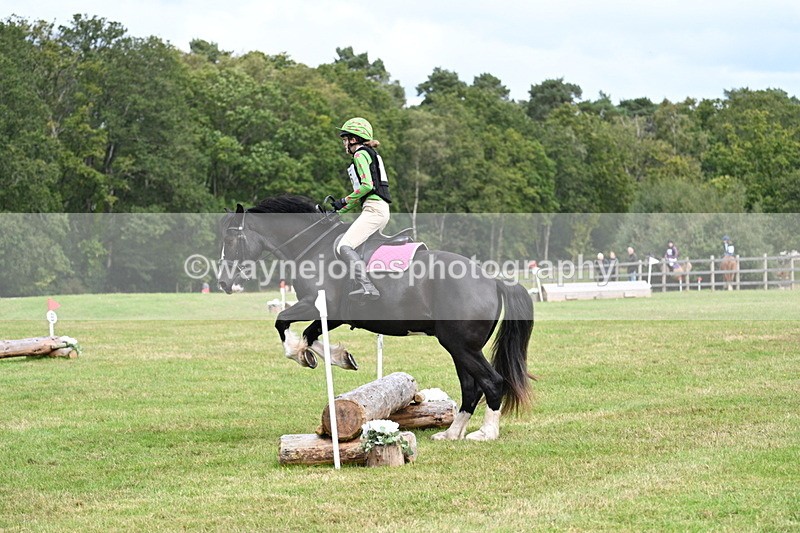 WJ7_8919 - 60cm Time 12:31 to 12:50