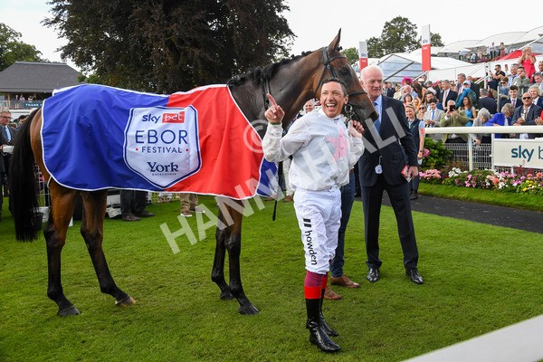 260823-Race 4-Absurde-0993 - Race 4 Sky Bet Ebor Handicap