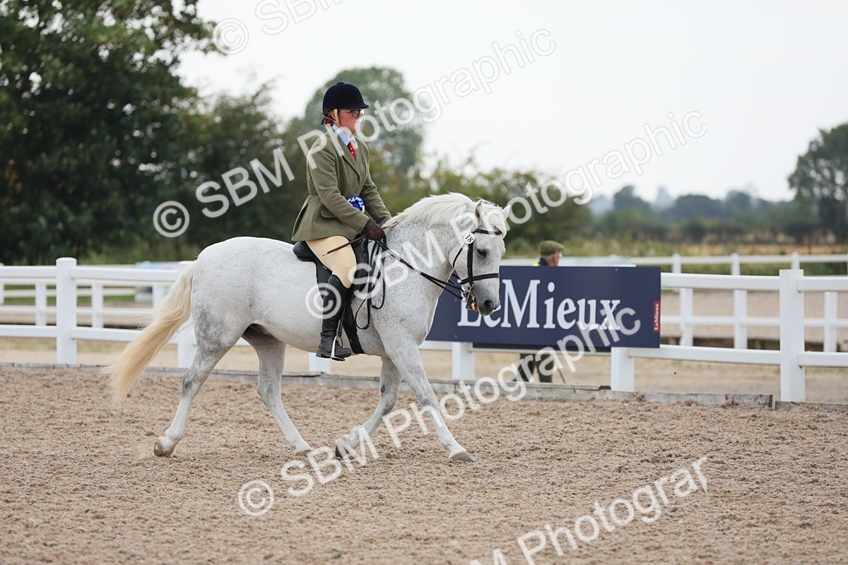 SBM_18260 - Class 316 Best Pony/Rider Combination