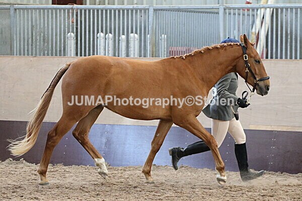 SIAL9618 - Indoor Classes