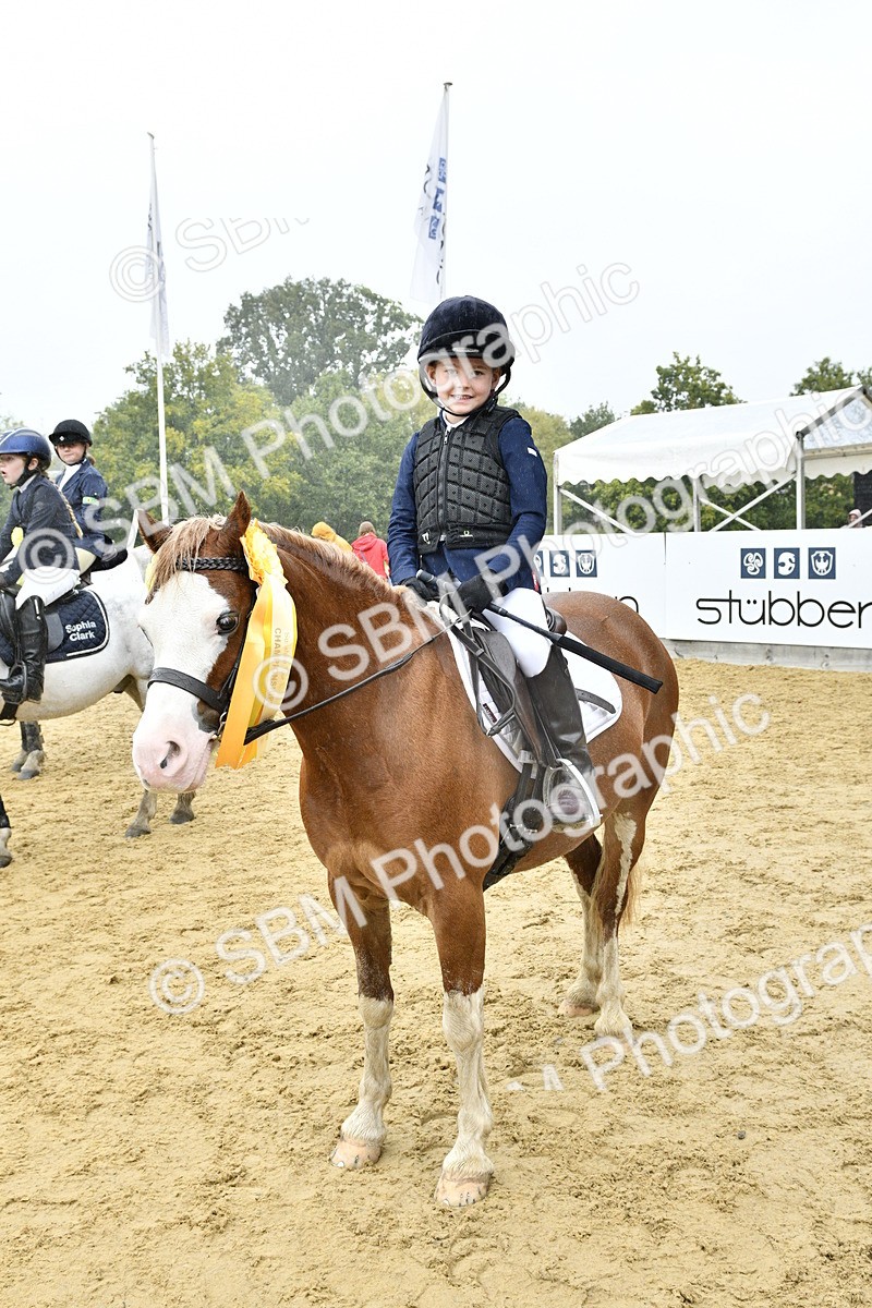 SBM_71044 - J3 - Mini Tour Junior Pony 40cm championship