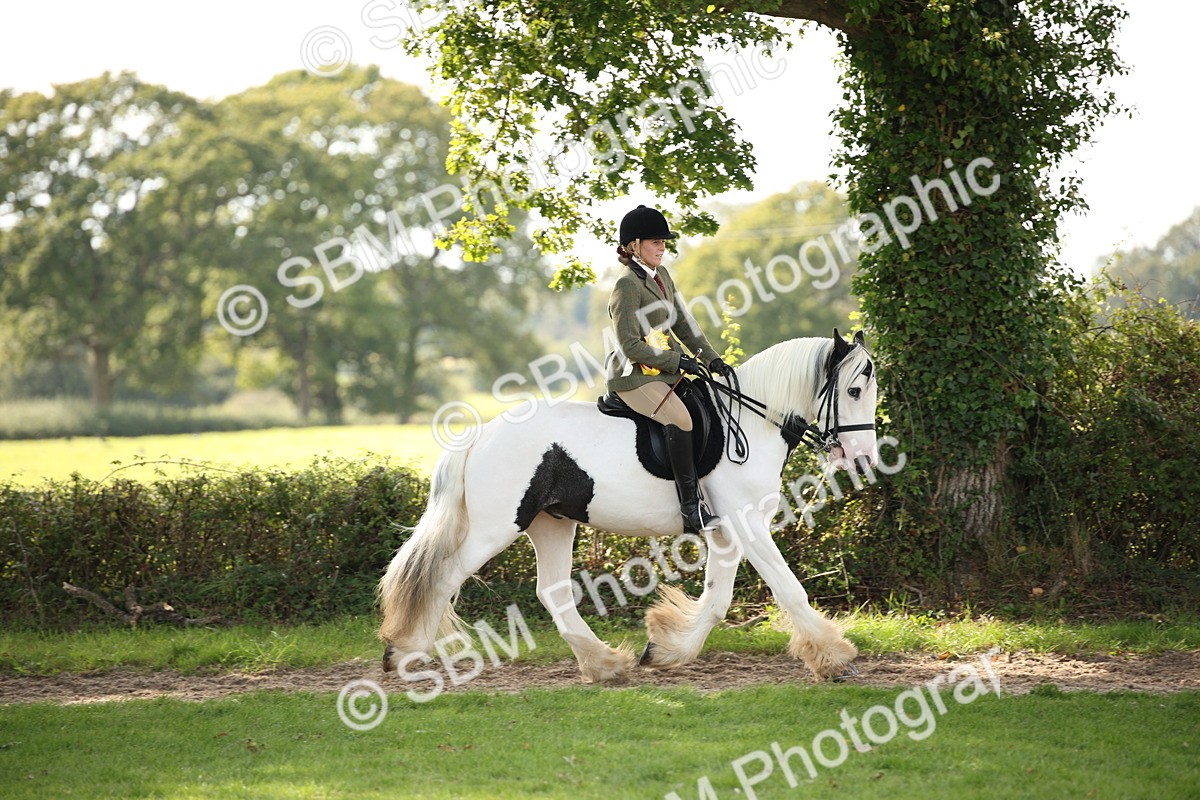 SBM_70165 - S65 - Piebald & Skewbald Horse Ridden