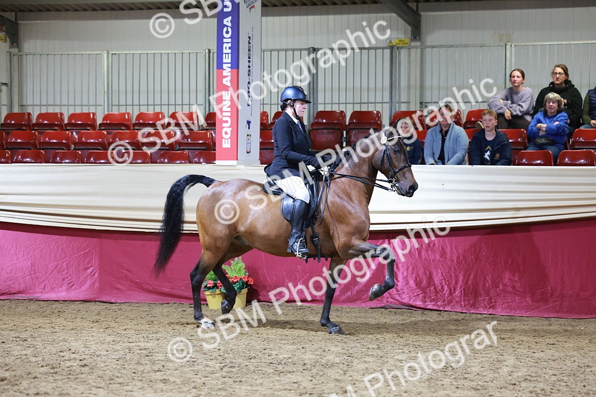 SBM_20688 - Class J - Foreign Breeds Champ