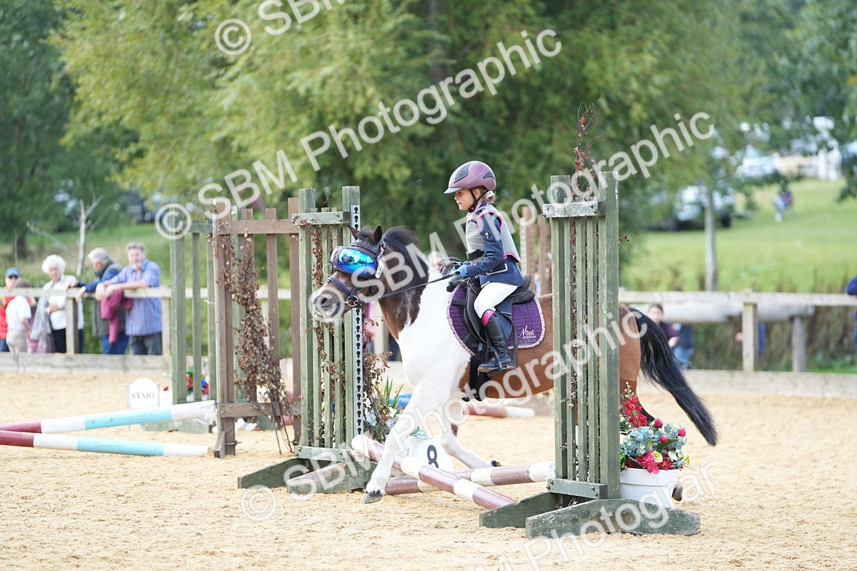 SBM_64436 - J2 - Mini Tour Junior Pony 30cm Championship
