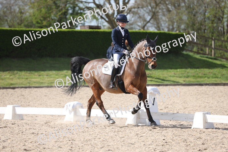 20260405-0916 - Pony FEI