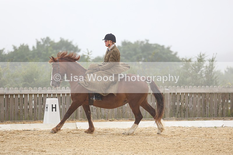 3E7A6891 - Class 5: Prelim to Music