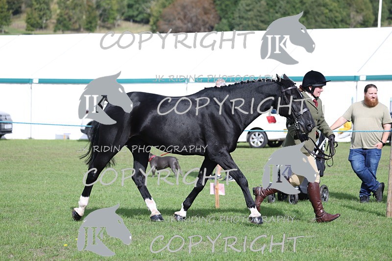 APP_2578 - Class 9 Veterans in hand