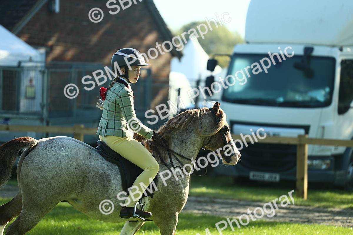 SBM_36363 - S29 - Novice & Newcomers Working Hunter Pony