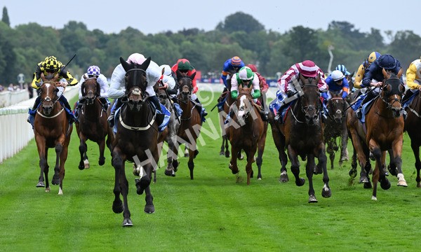 230825-119 Ethical Diamond - Race 4 3.35pm Sky Bet Ebor Handicap