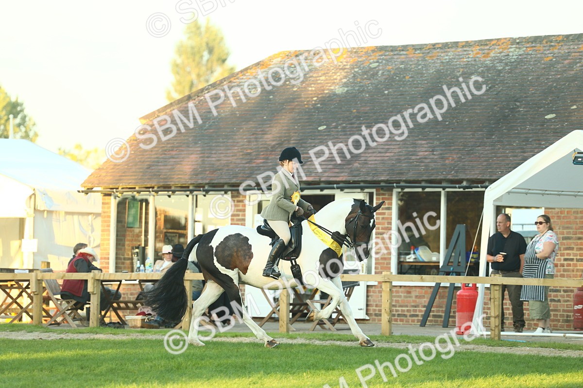 SBM_56591 - S14 - Riding Club Horse