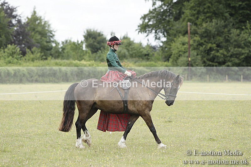 BVR160717-2418 - Side Saddle Classes 16/07/17