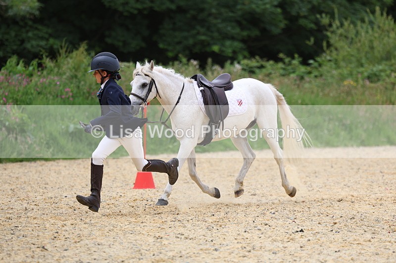 3E7A9676 - Walk trot run