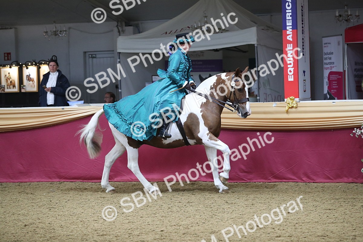 SBM_12006 - Class 106 Ridden Costume- Astride Adult (15-19)