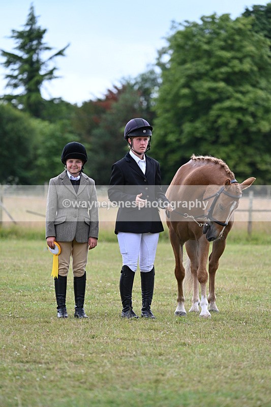 WJ7_7331 - Champs