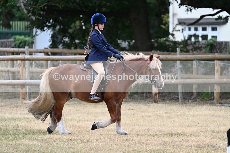 WJ7_0429 - Class 2 Best rider