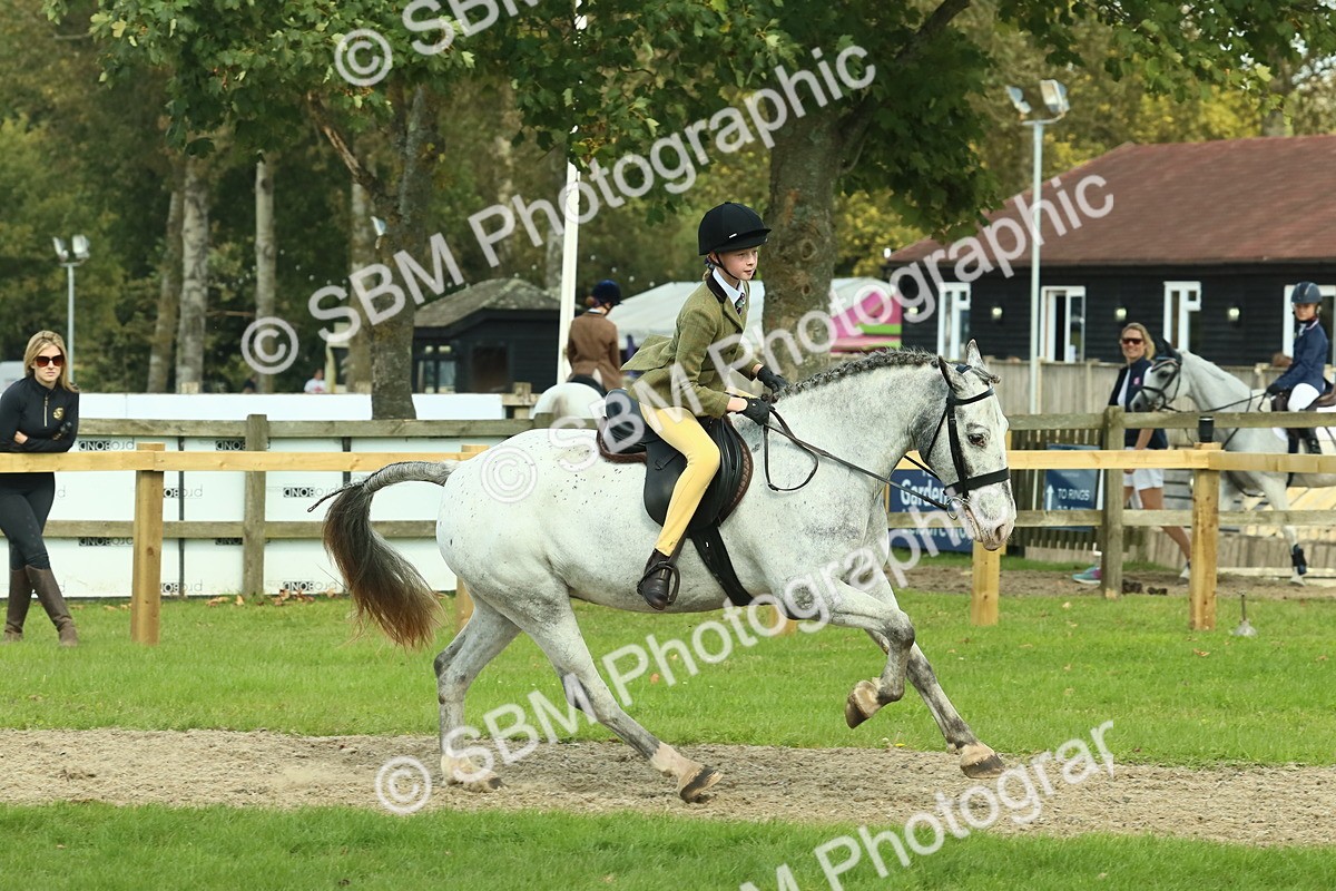 SBM_67559 - S56 - Coloured Pony Ridden