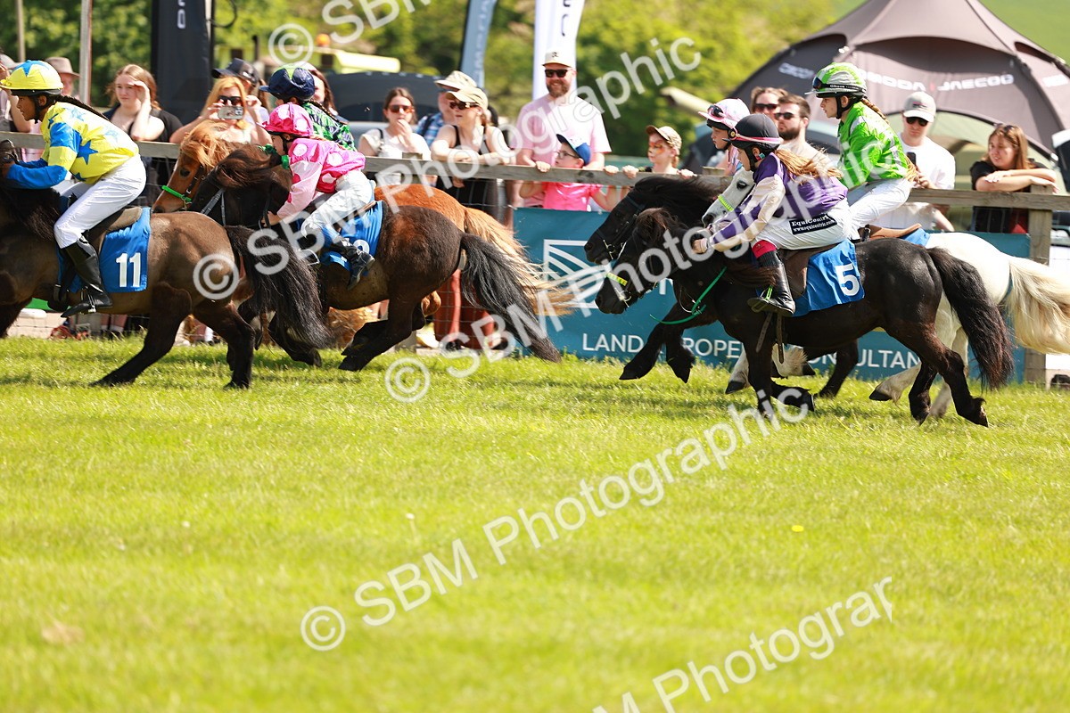 SBM_04375 - Shetland Grand National