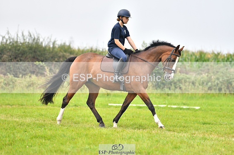 230817-090253-02465 - Abbie's 1st Group - Dressage