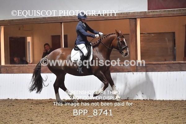 BPP_8741 - NOVICE 6 BD