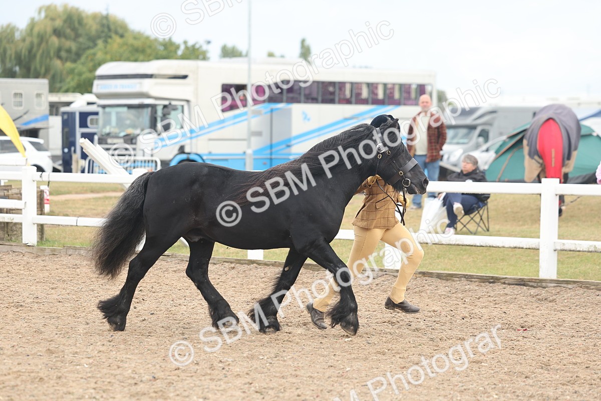 SBM_08430 - Class 29 - IH Veteran Pony