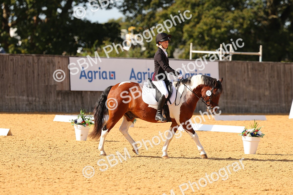 SBM_48416 - D6 - Small Tour Championship - Intro C