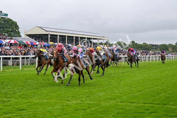 130724-Race 5-East Tyrone-7597 - Race 5 4.15pm John Smith's Nursery Handicap