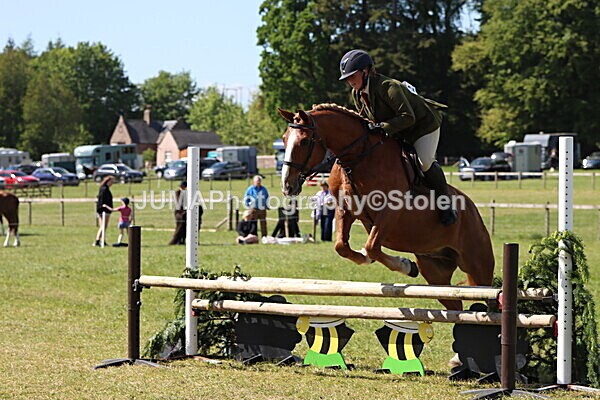 IMG_4574 - Working Hunter