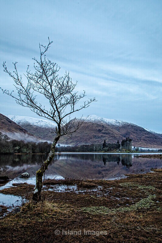 The Tree and the Castle - Kilchurn Castle