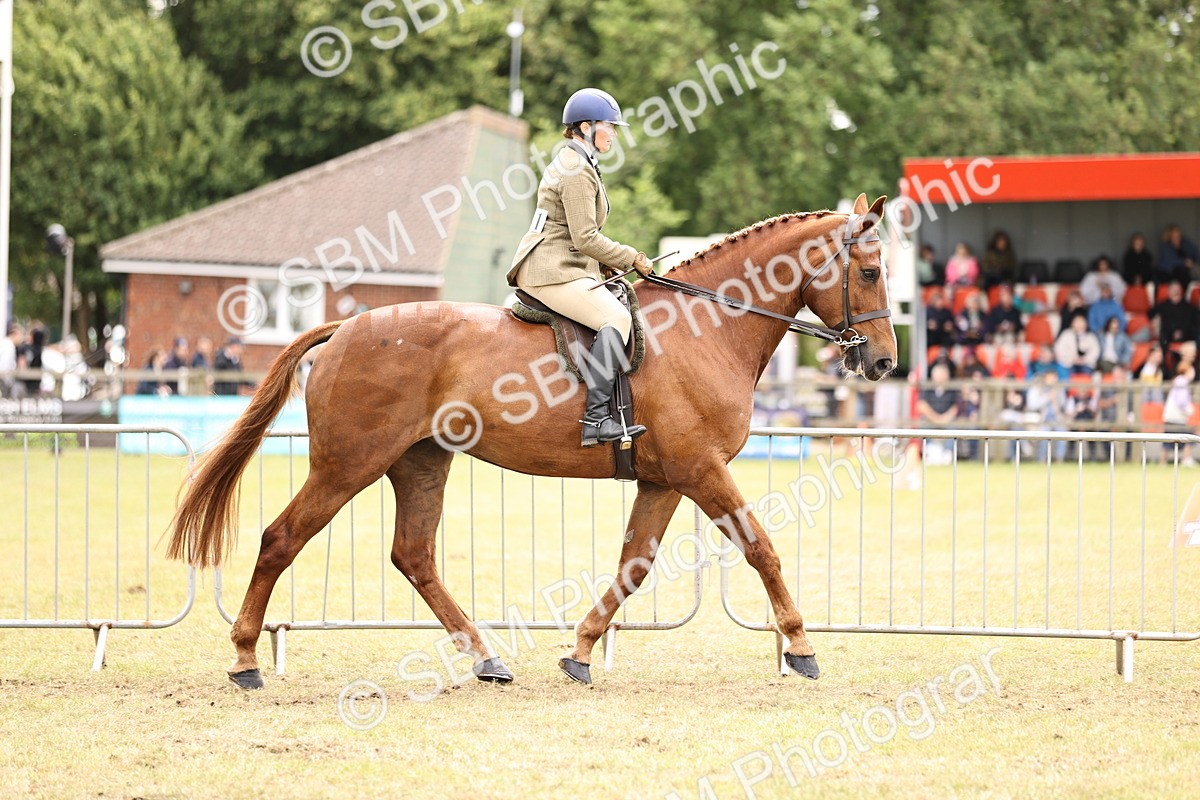 SBM_14646 - Class 88-89 - LIHS BSHA Rising Star of Ridden Hunter Type