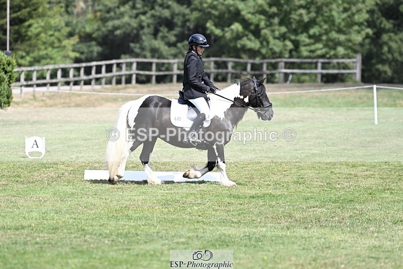 250821A-114428-15314 - DR 11.00 to 12.00