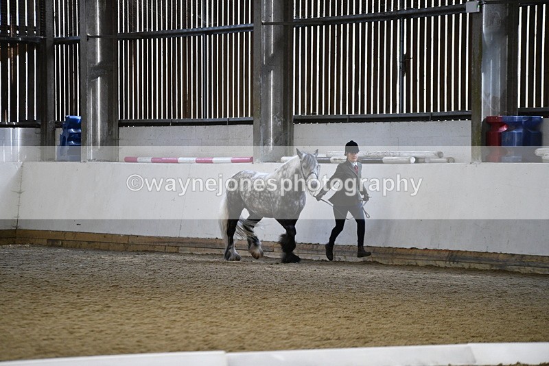 WJ5_5201 - Class 8 In hand cob