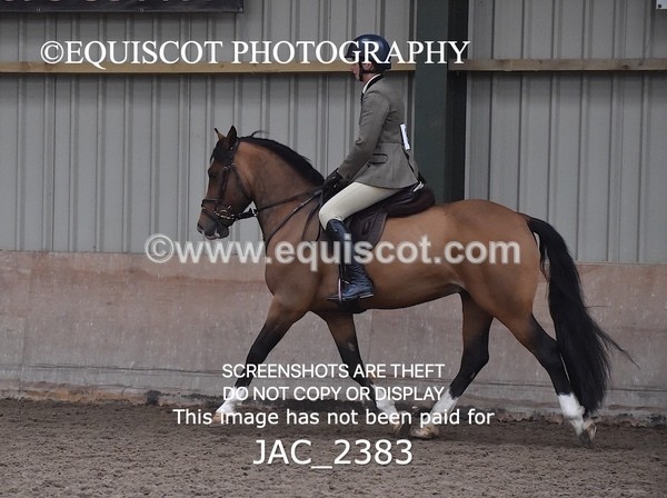 JAC_2383 - CLASS 3 Intermediate Working Hunter