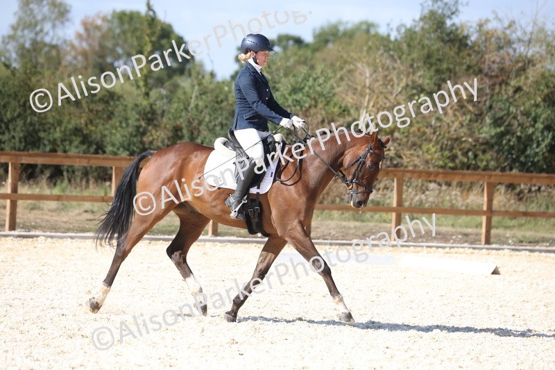20260905-1480 - Class 5 - Novice 2
