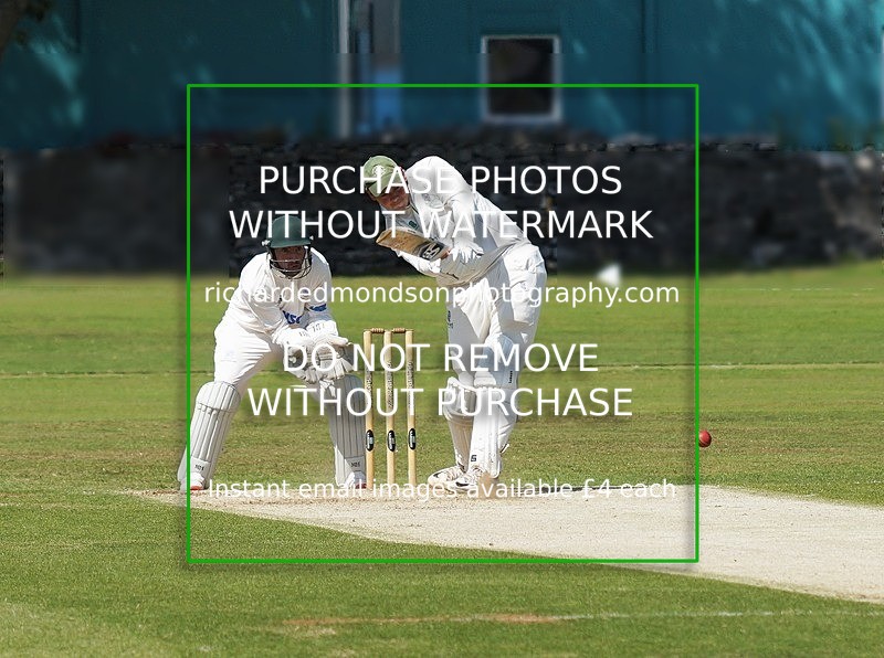 DSC03285_edited-1 - Leyland CC 6 July 2019