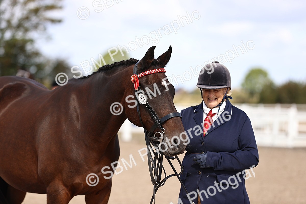SBM_11525 - Class 407 - IH Hack-Riding Horse
