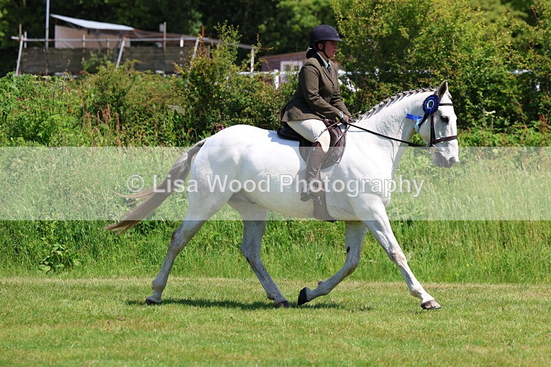3E7A8039 - Working Hunter Championship