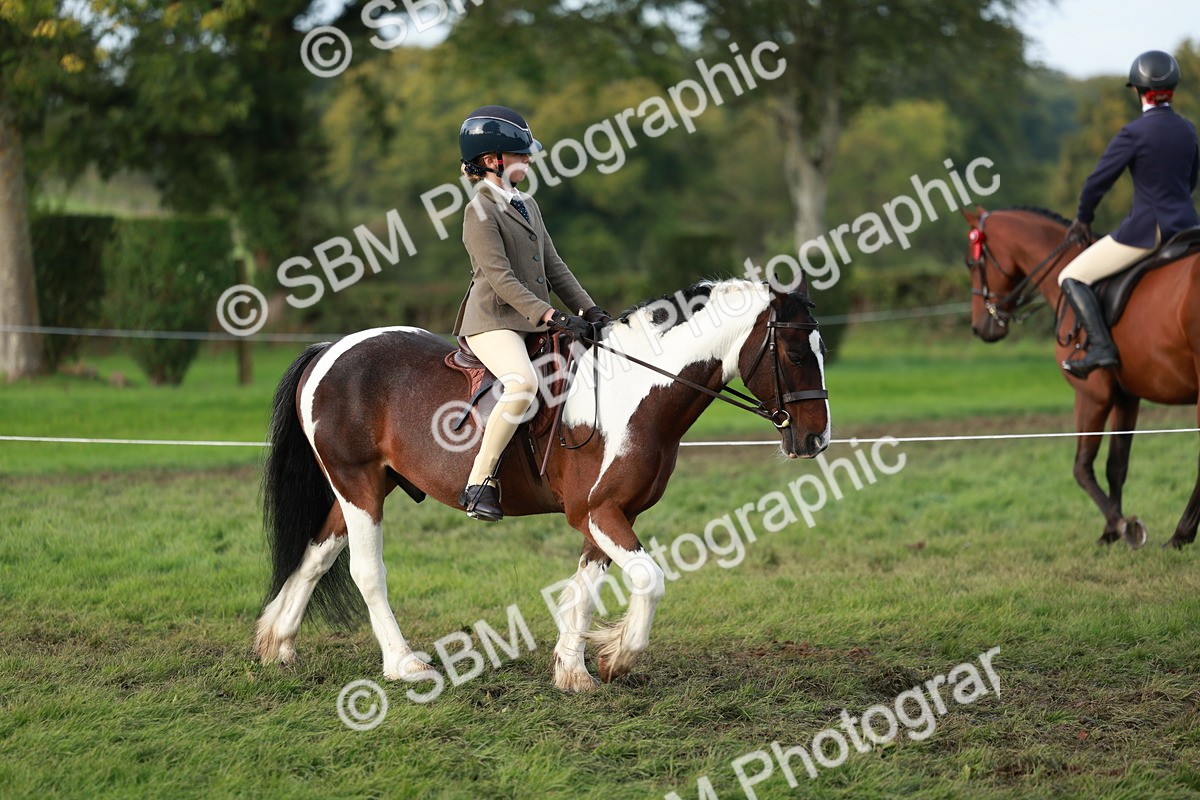 SBM_56277 - S39 - Starters In Hand Showing