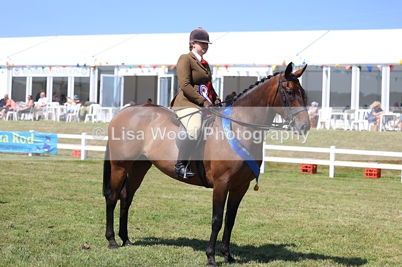 3E7A7620 - Rising Star Ridden Championship