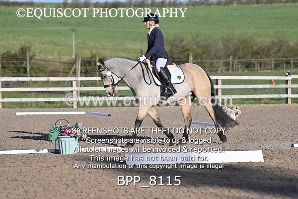 BPP_8115 - SHORT ARENA