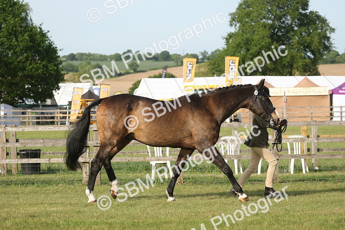 SBM_10537 - Class 33-38 - SSADL RIHS Qualifiers