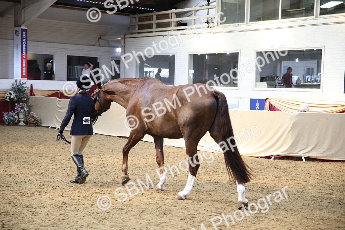 SBM_24787 - Class 906 - Supreme Final - Ridden Pre Vet