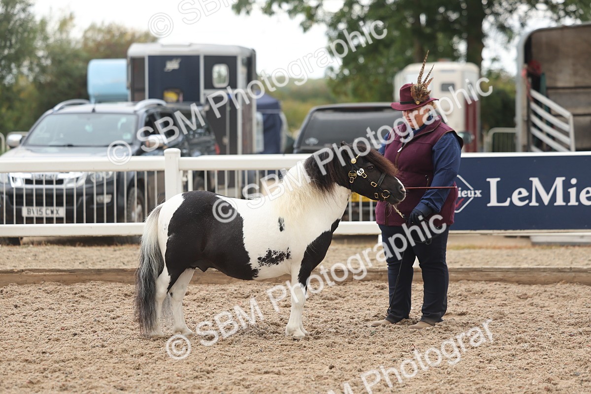 SBM_03266 - Class 16 - IH M&M Wildcard