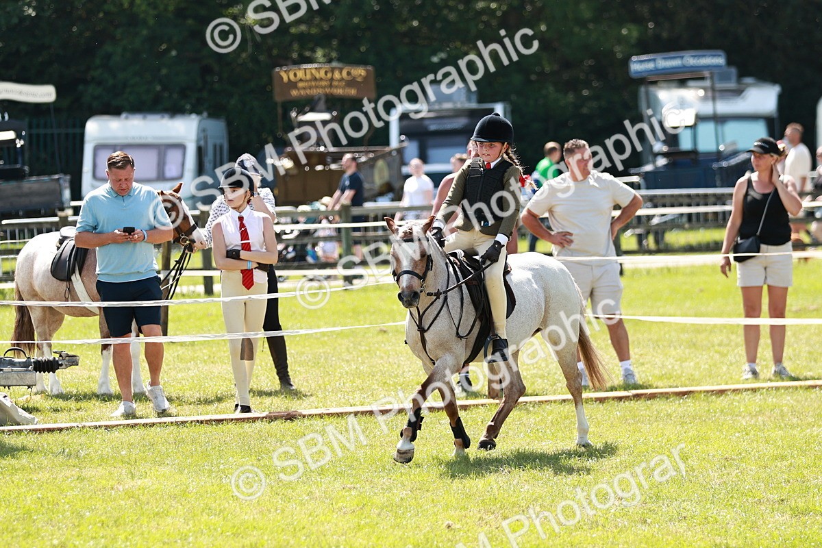 SBM_13623 - Class 108-109 - BSPS LIHS Open Gradle & Nursery Stakes