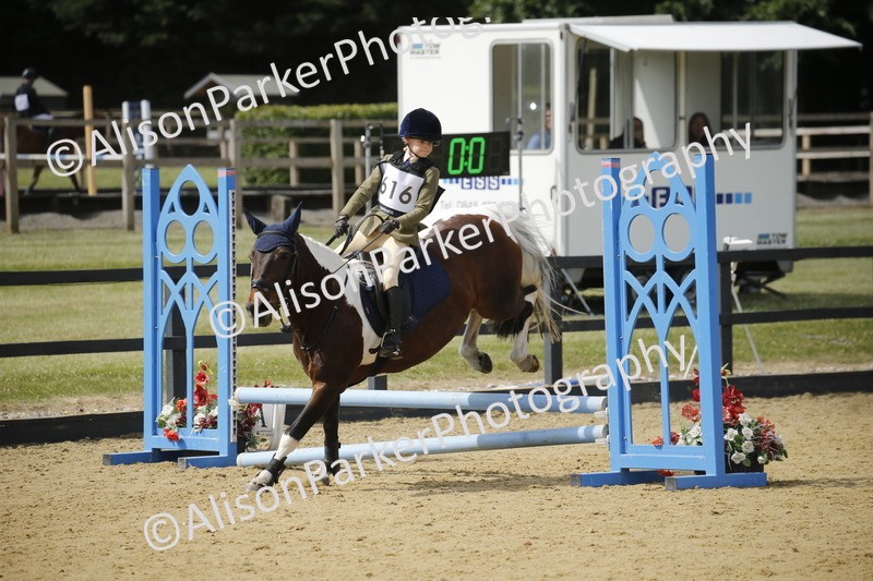 20250622-3782 - 50cm