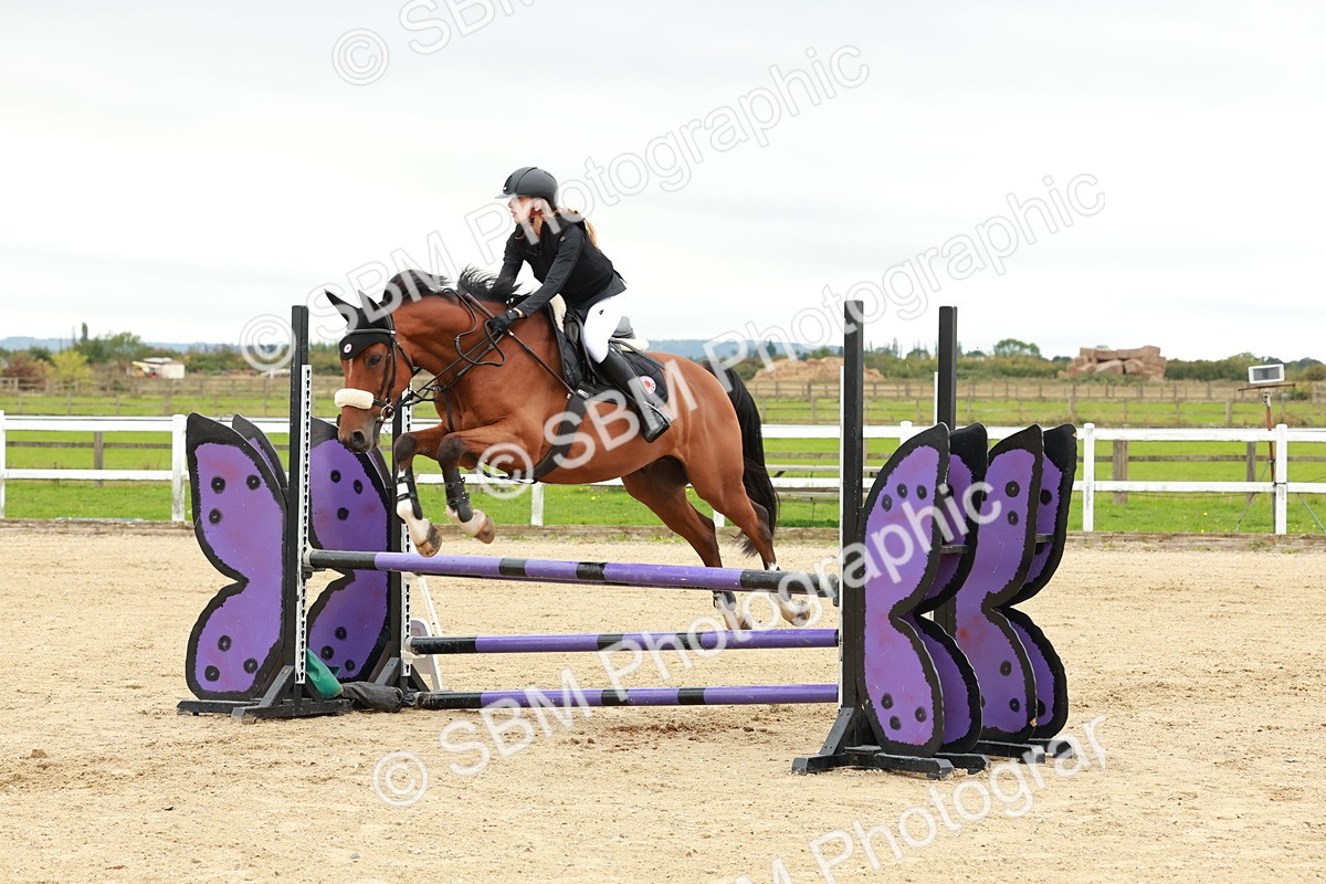 1I0A6865 - Class 2 - Senior British Novice