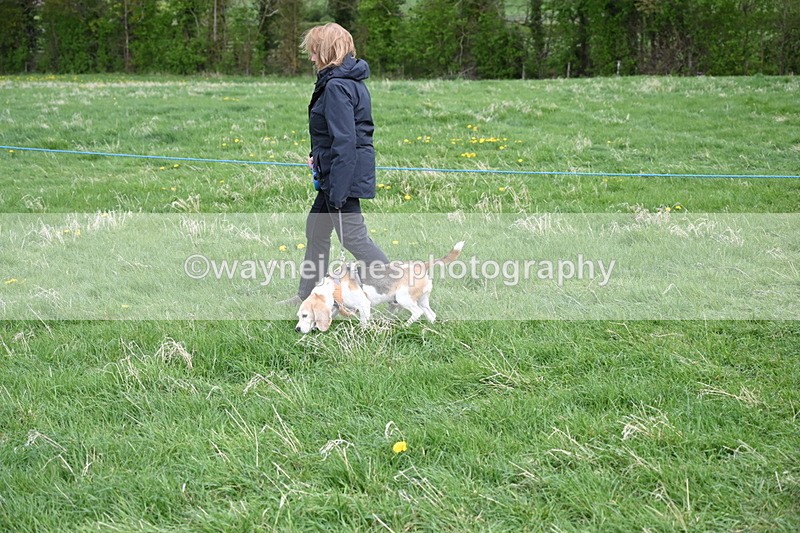 WJ6_8073 - Class 2 Best Pedigree