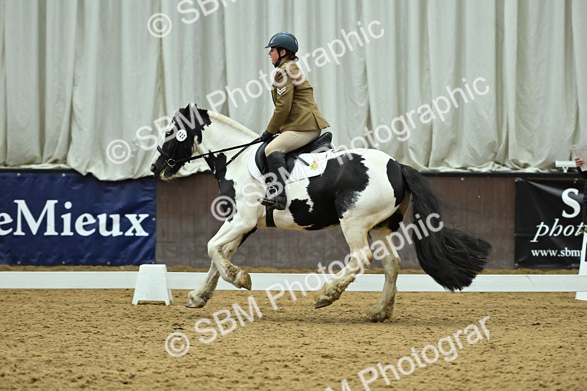 SBM_007393 - Class 81 - Novice 3