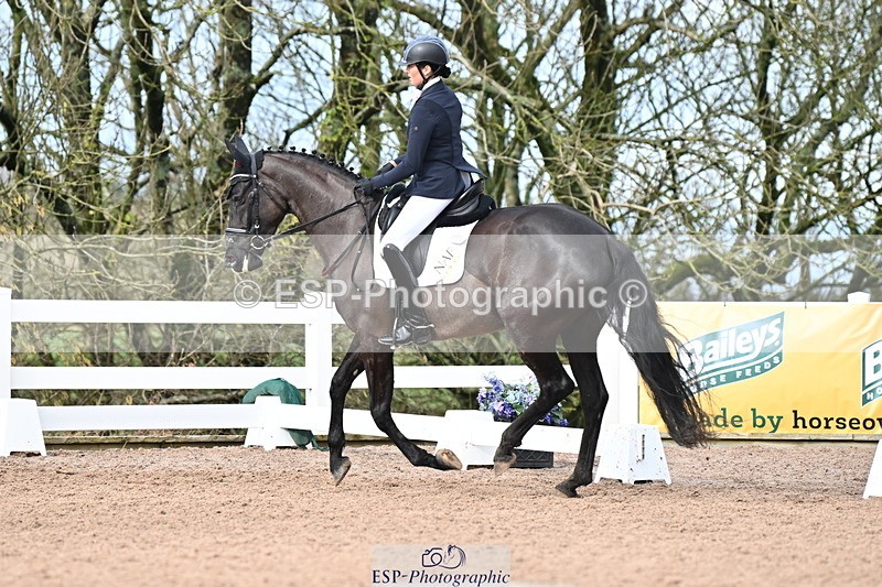 240218A-115756-06933 - 204-Elder.Klatzko-Dynasty.Hit