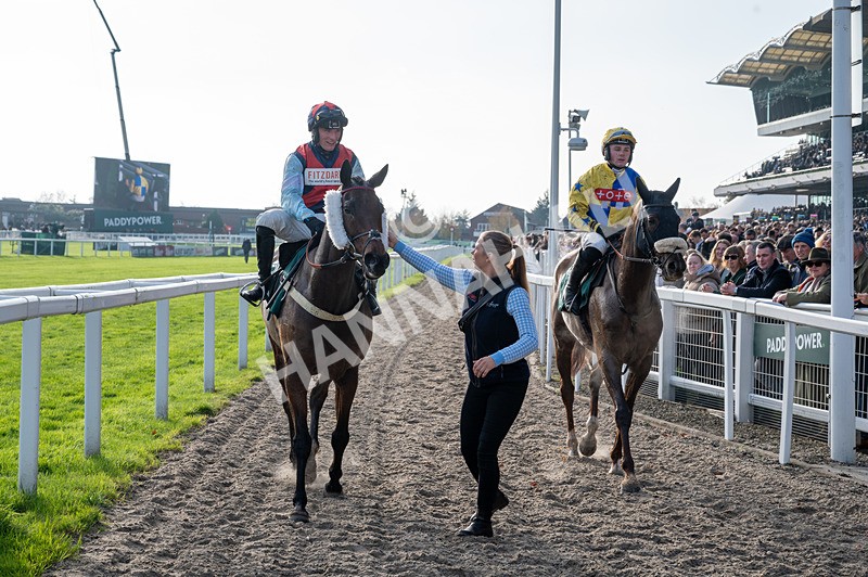 151124-Race 1-Whatsupwithyou-8520 - Race 1