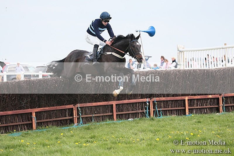 PtP 210418 189 - South & West Wilts Point-to-Point Larkhill 21/04/18